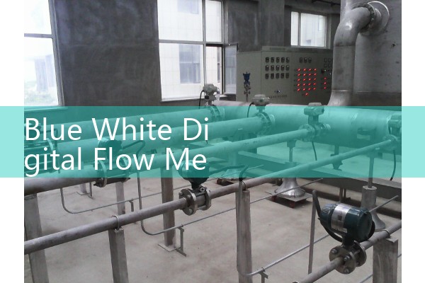 Blue White Digital Flow Meter: Sonic-Pro Ultrasonic Clamp-on Specifications