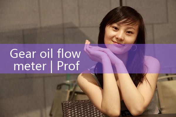 gear oil flow meter|rotameter flow meter