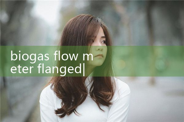 biogas flow meter flanged|flow meter distributor