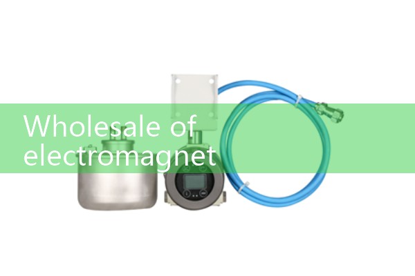 Wholesale of electromagnetic flowmeter