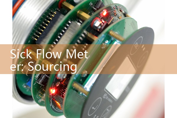 Sick Flow Meter: Sourcing German High-Precision Industrial Vapor Systems