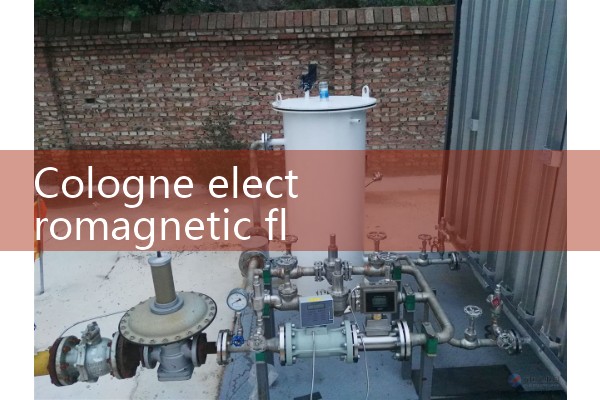 Cologne electromagnetic flowmeter