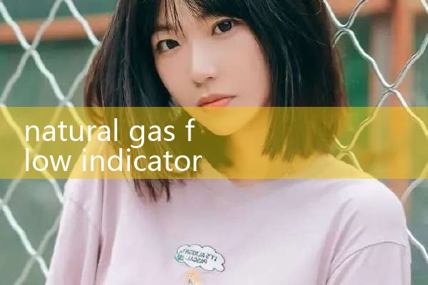 natural gas flow indicator|balo meter