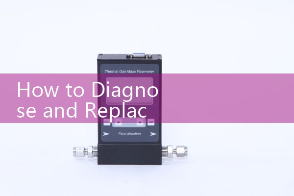 How to Diagnose and Replace a Faulty Bosch Dishwasher Flow Meter