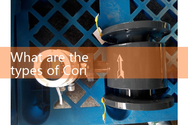 Coriolis mass flowmeter