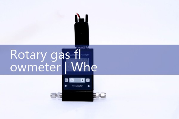Rotary gas flowmeter