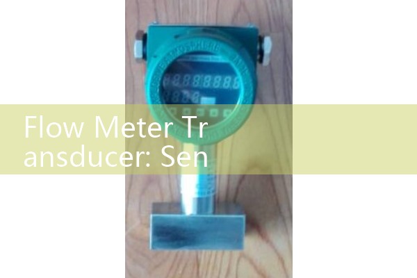 Flow Meter Transducer: Sensor Signal Transmitters Explained