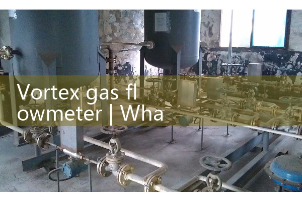 Vortex gas flowmeter