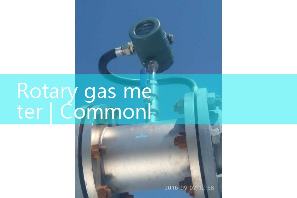 rotary gas meter