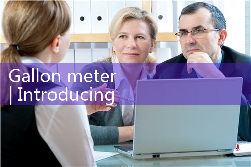 gallon meter|thermal flow meter