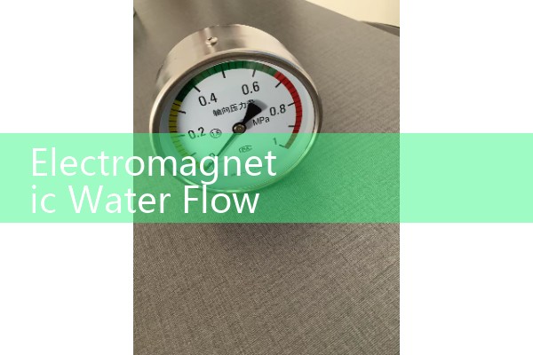 Vortex flowmeter 10