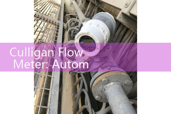 Culligan Flow Meter: Automatic Home Softener Regeneration Telemetry Systems