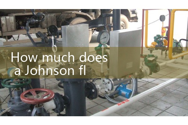 Johnson flowmeter