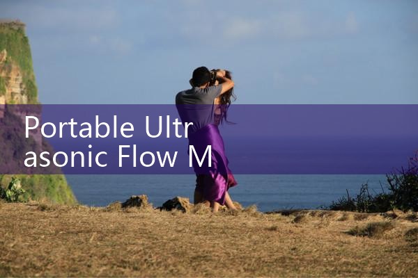 portable ultrasonic flow meter|mass flow meter