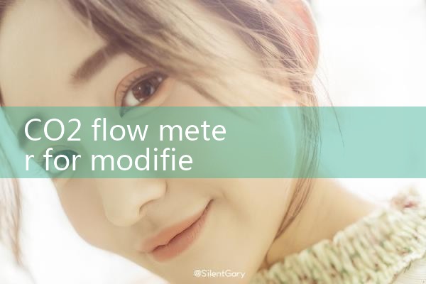 CO2 flow meter for modified atmosphere packaging|thermal flow meter