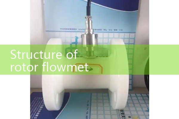 Structure of rotor flowmeter