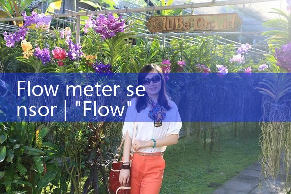 flow meter sensor|thermal flow meter