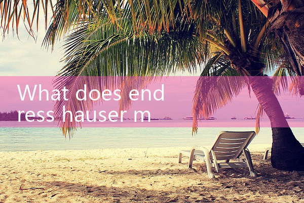 endress hauser|thermal flow meter
