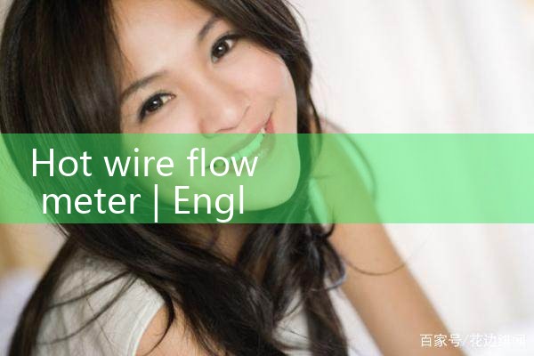 hot wire flow meter|rotameter flow meter