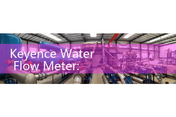 Keyence Water Flow Meter: External Pipe Transit-Time Sensor Programming Manuals