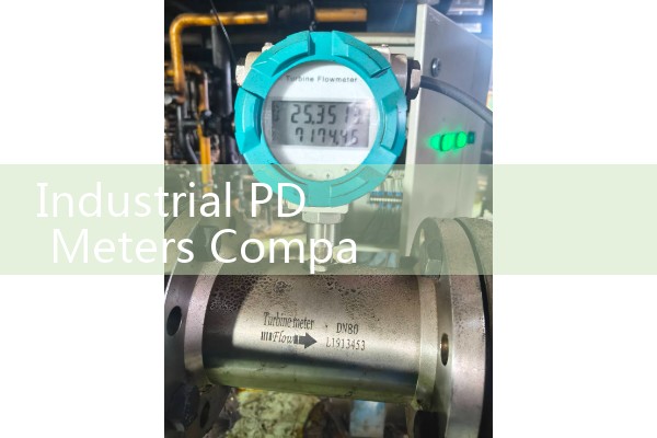 Industrial PD Meters Comparison: Choosing Between Oval Gear And Nutating Disk Designs