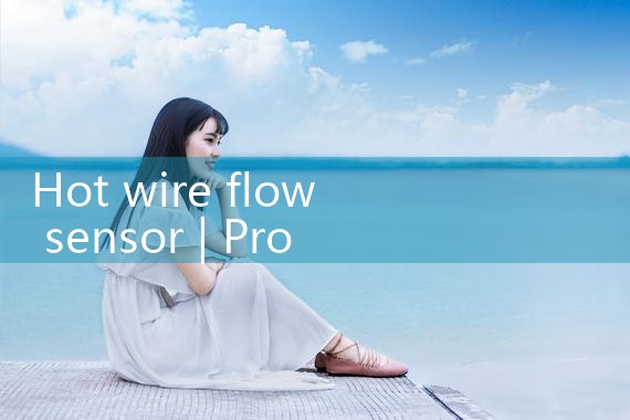 oxygen gas flow sensor|thermal flow meter