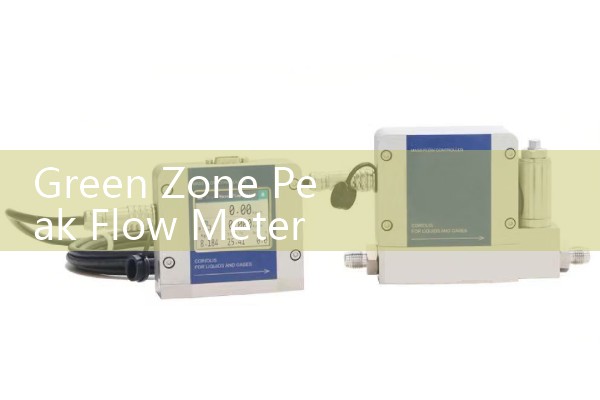 Green Zone Peak Flow Meter Logs: Establishing Healthy Asthma Baseline Benchmarks for Patients