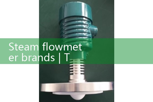 Steam flowmeter brand