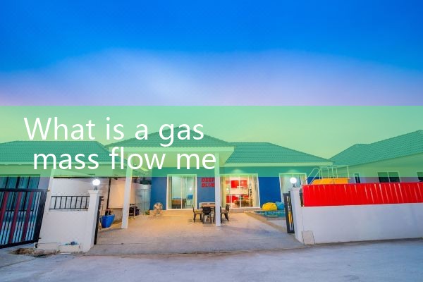 gas mass flow meter|rotameter flow meter
