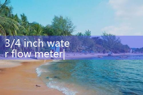 3/4 inch water flow meter|balo meter