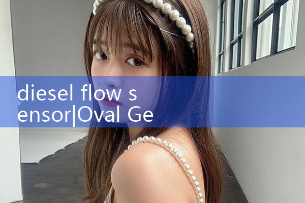 diesel flow sensor|mass flow meter
