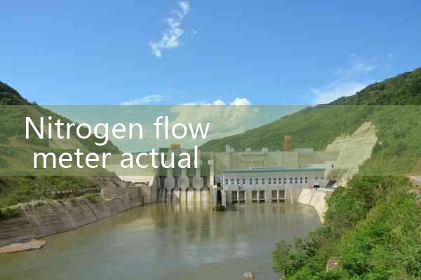 nitrogen flow meter actual volume|flow meter distributor