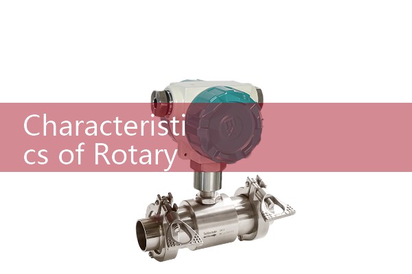 Characteristics of rotor flowmeter