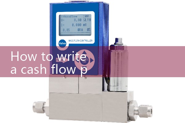 How to write a cash flow plan