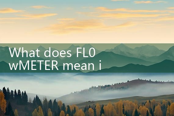 flowmeter|thermal flow meter