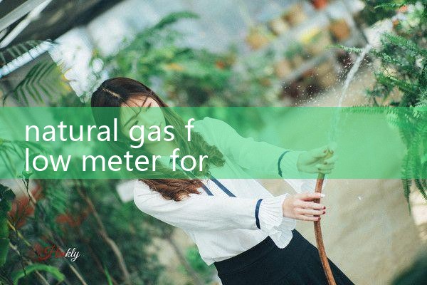 natural gas flow meter for pipeline|balo meter