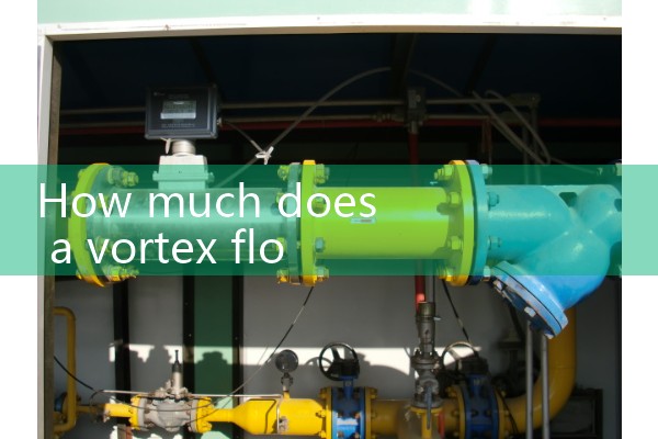 Vortex flowmeter price