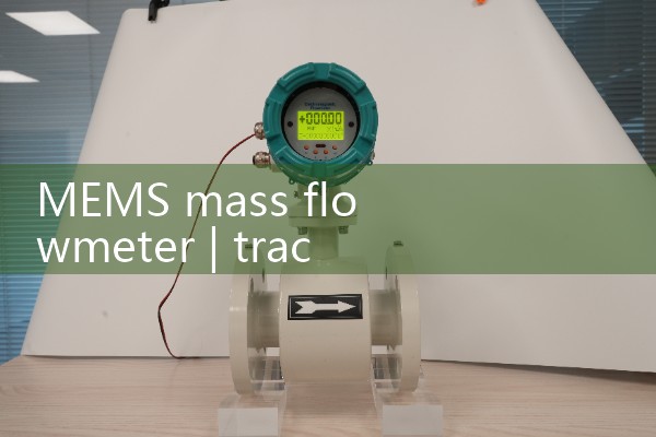 MEMS mass flowmeter