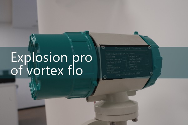 Explosion proof vortex flowmeter