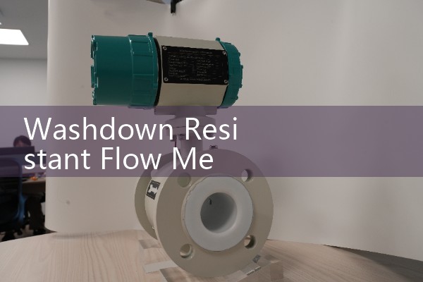 Washdown Resistant Flow Meter: IP69K Waterproof Processing Sensors