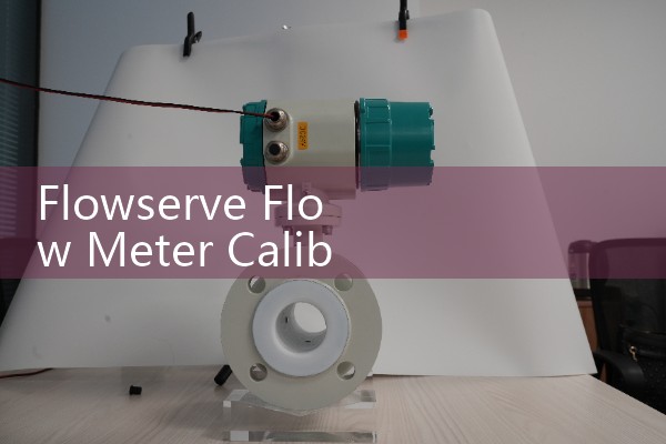 Flowserve Flow Meter Calibration Procedure: Certified Testing to Ensure ISO Regulatory Compliance