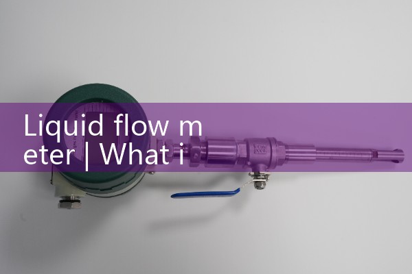 Liquid flow meter