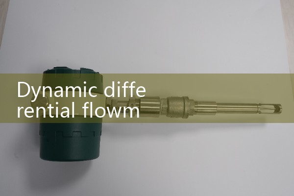 Dynamic differential flowmeter
