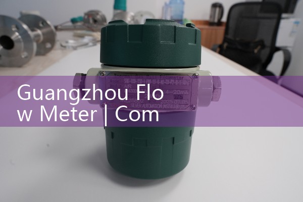 Guangzhou flowmeter