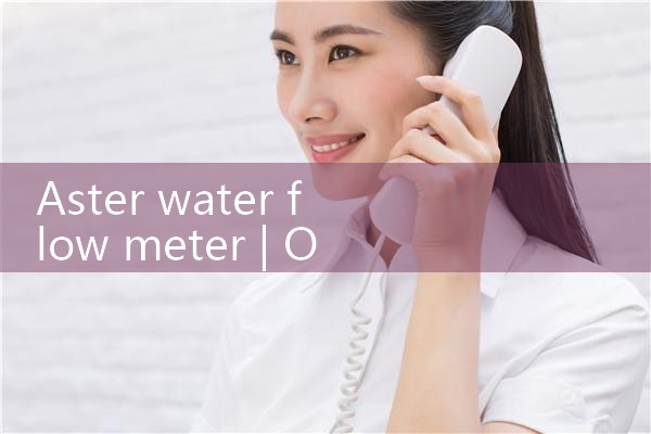 aster water flow meter|rotameter flow meter