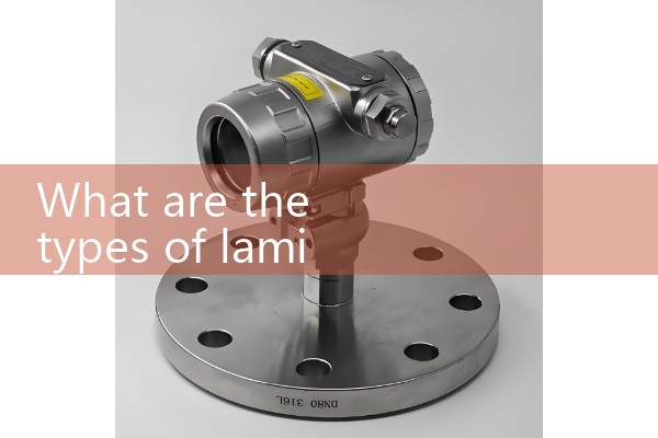 Manufacturer of laminar flow mass flowmeter