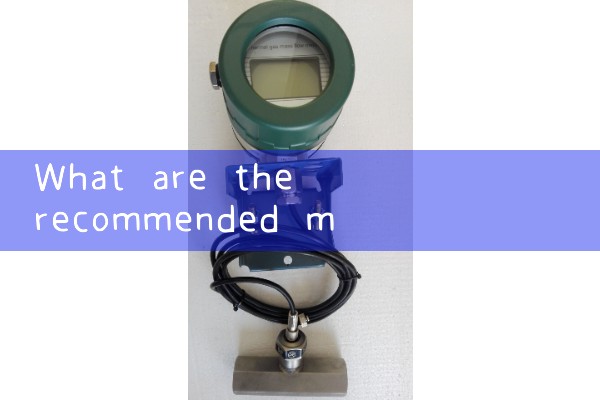 Plug in mass flowmeter manufacturer