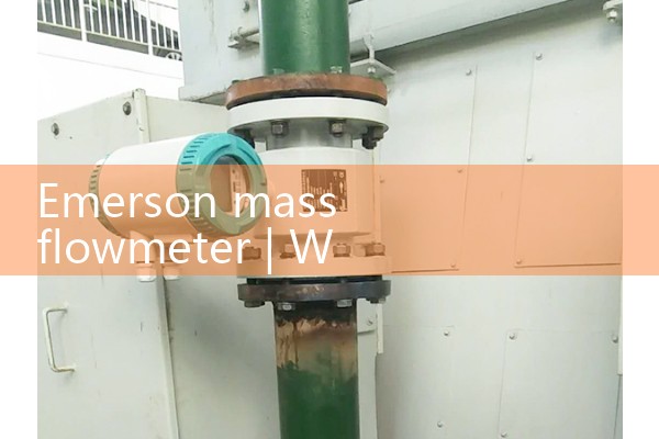 Emerson Mass Flow Meter