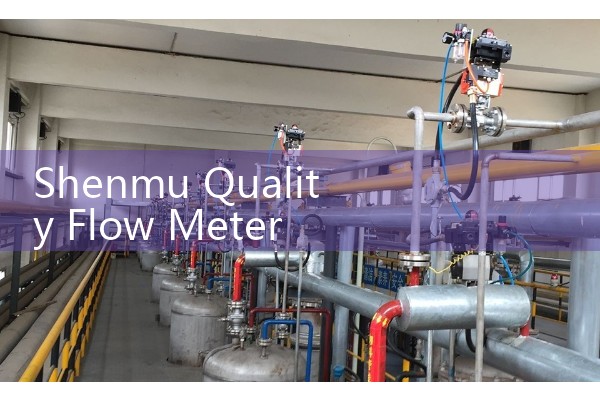 Shenmu Quality Flow Meter Manufacturer