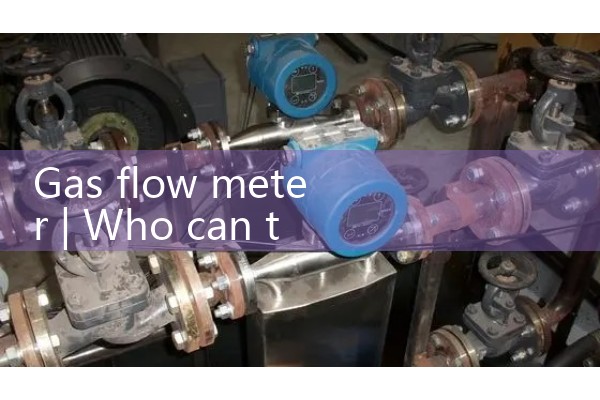 gasoline flow meter|vortex flow meter